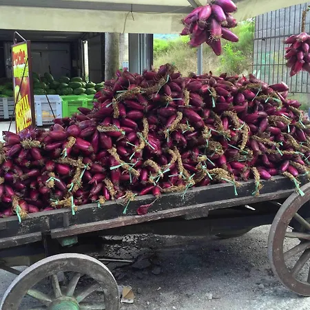 Family Sea-view Retreat In * パルゲリーア