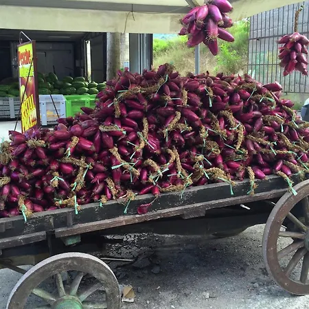 Family Sea-view Retreat In Apartman Parghelia