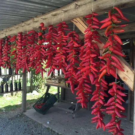 Family Sea-view Retreat In 아파트 *