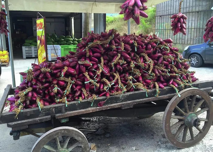 Family Sea-view Retreat In Apartman Parghelia