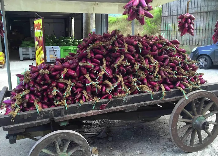Family Sea-view Retreat In * パルゲリーア