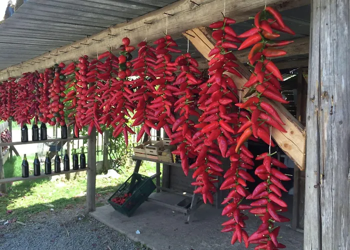 Family Sea-view Retreat In アパート *